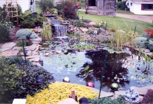 Pond Sanderson 1  